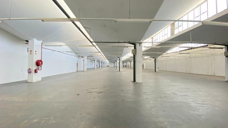 Commercial Property for Sale in Epping Industrial Western Cape